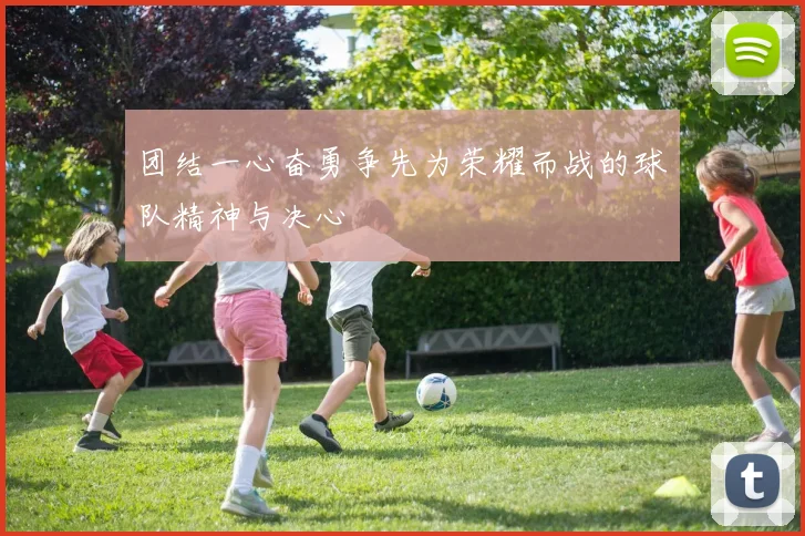 团结一心奋勇争先为荣耀而战的球队精神与决心