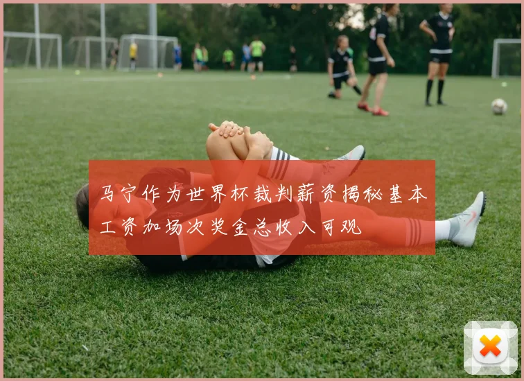 马宁作为世界杯裁判薪资揭秘基本工资加场次奖金总收入可观