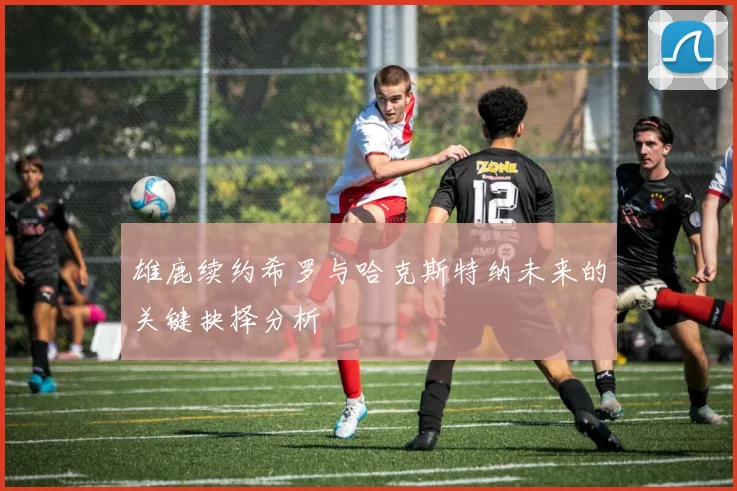 雄鹿续约希罗与哈克斯特纳未来的关键抉择分析